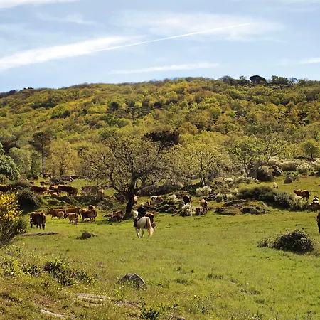 Finca El Cabezo-2